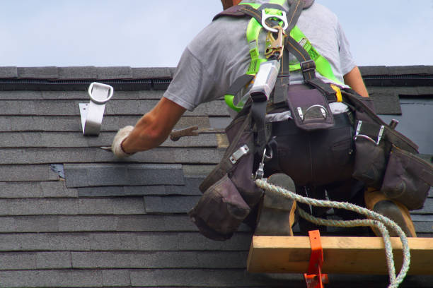 Best Metal Roofing Contractor  in Newnan, GA