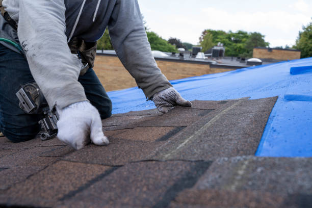 Best Residential Roofing Contractor  in Newnan, GA