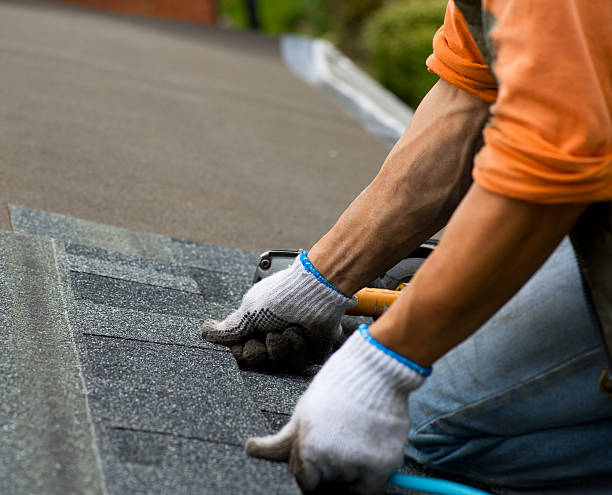Best Roof Gutter Cleaning  in Newnan, GA