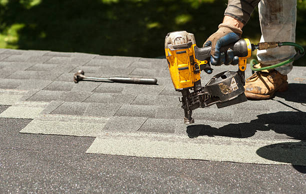Best Roof Gutter Cleaning  in Newnan, GA